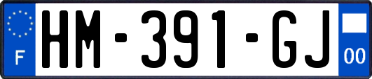 HM-391-GJ