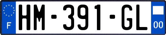 HM-391-GL