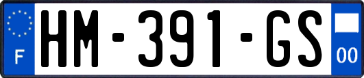 HM-391-GS