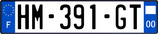 HM-391-GT