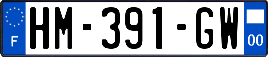 HM-391-GW