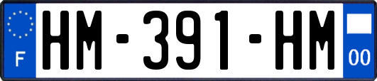 HM-391-HM