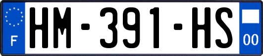 HM-391-HS