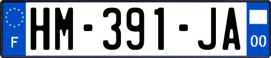 HM-391-JA