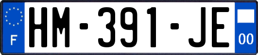 HM-391-JE