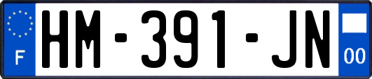 HM-391-JN