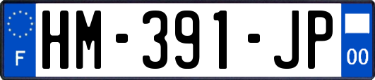 HM-391-JP