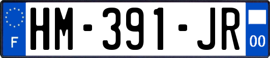 HM-391-JR