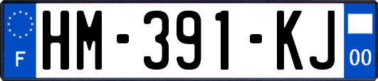 HM-391-KJ