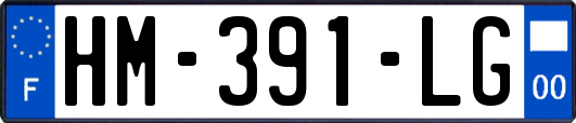 HM-391-LG