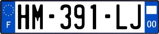 HM-391-LJ