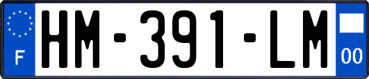 HM-391-LM