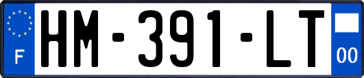 HM-391-LT