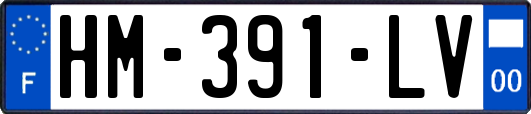 HM-391-LV