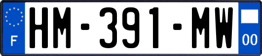 HM-391-MW
