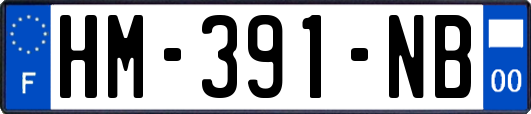 HM-391-NB
