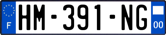 HM-391-NG