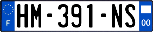 HM-391-NS