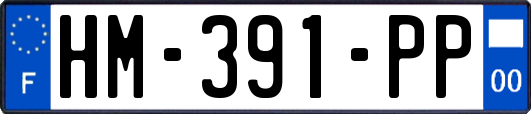 HM-391-PP