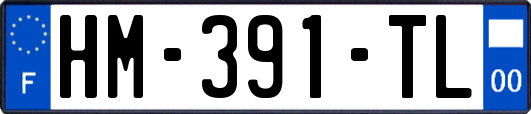 HM-391-TL