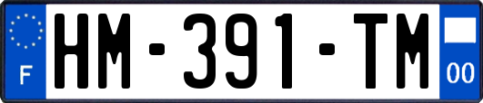 HM-391-TM