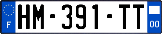HM-391-TT
