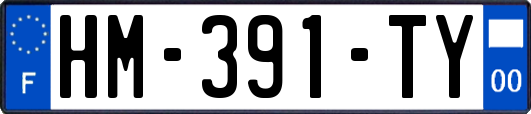 HM-391-TY