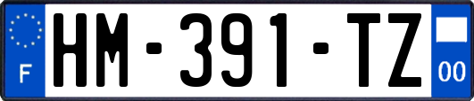 HM-391-TZ