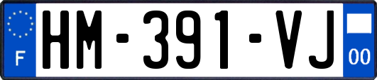 HM-391-VJ