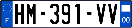 HM-391-VV
