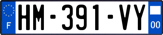 HM-391-VY