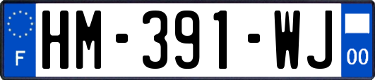 HM-391-WJ