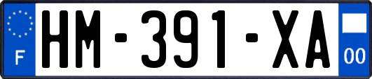 HM-391-XA