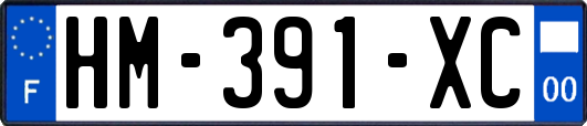 HM-391-XC