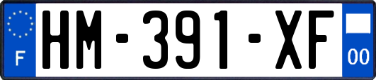 HM-391-XF