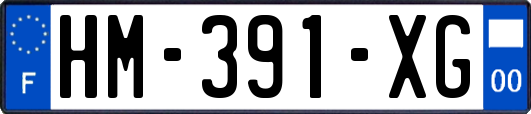 HM-391-XG