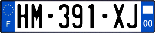 HM-391-XJ
