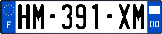 HM-391-XM