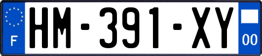 HM-391-XY