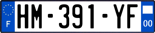 HM-391-YF