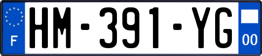 HM-391-YG