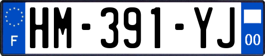 HM-391-YJ