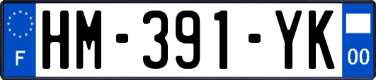 HM-391-YK