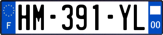 HM-391-YL