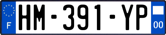 HM-391-YP