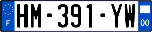 HM-391-YW