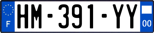 HM-391-YY