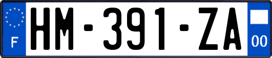 HM-391-ZA