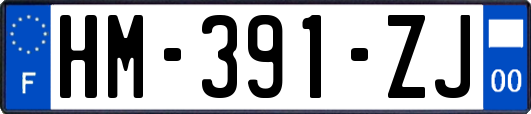 HM-391-ZJ