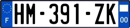 HM-391-ZK